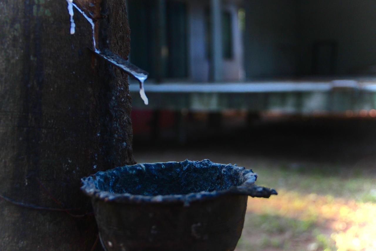 فندق Singha Rubber Tree ساي يوك المظهر الخارجي الصورة