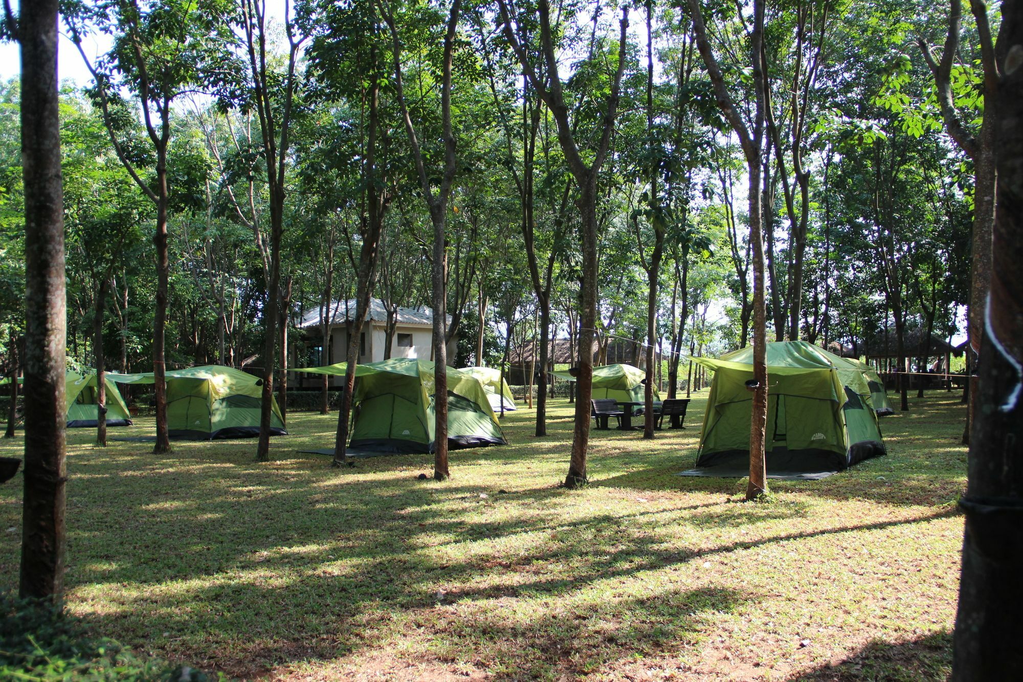 فندق Singha Rubber Tree ساي يوك المظهر الخارجي الصورة
